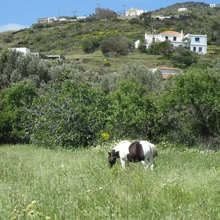 In The Village Near The Sea. *