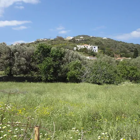 Apartment In The Village Near The Sea. Ormos (Andros)